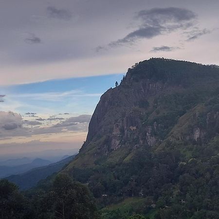 Meditation Monastery Stay إيلا المظهر الخارجي الصورة