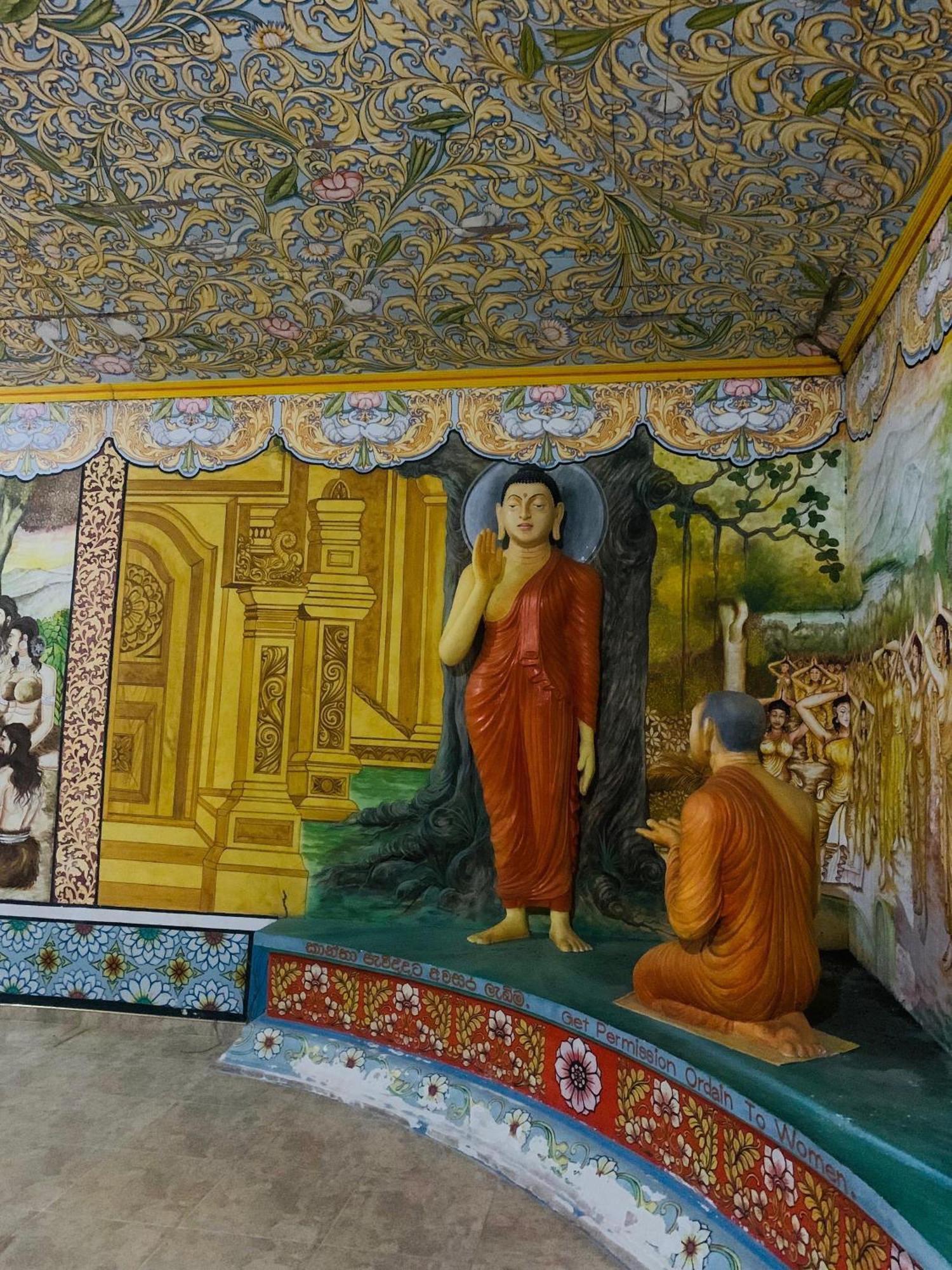 Meditation Monastery Stay إيلا المظهر الخارجي الصورة