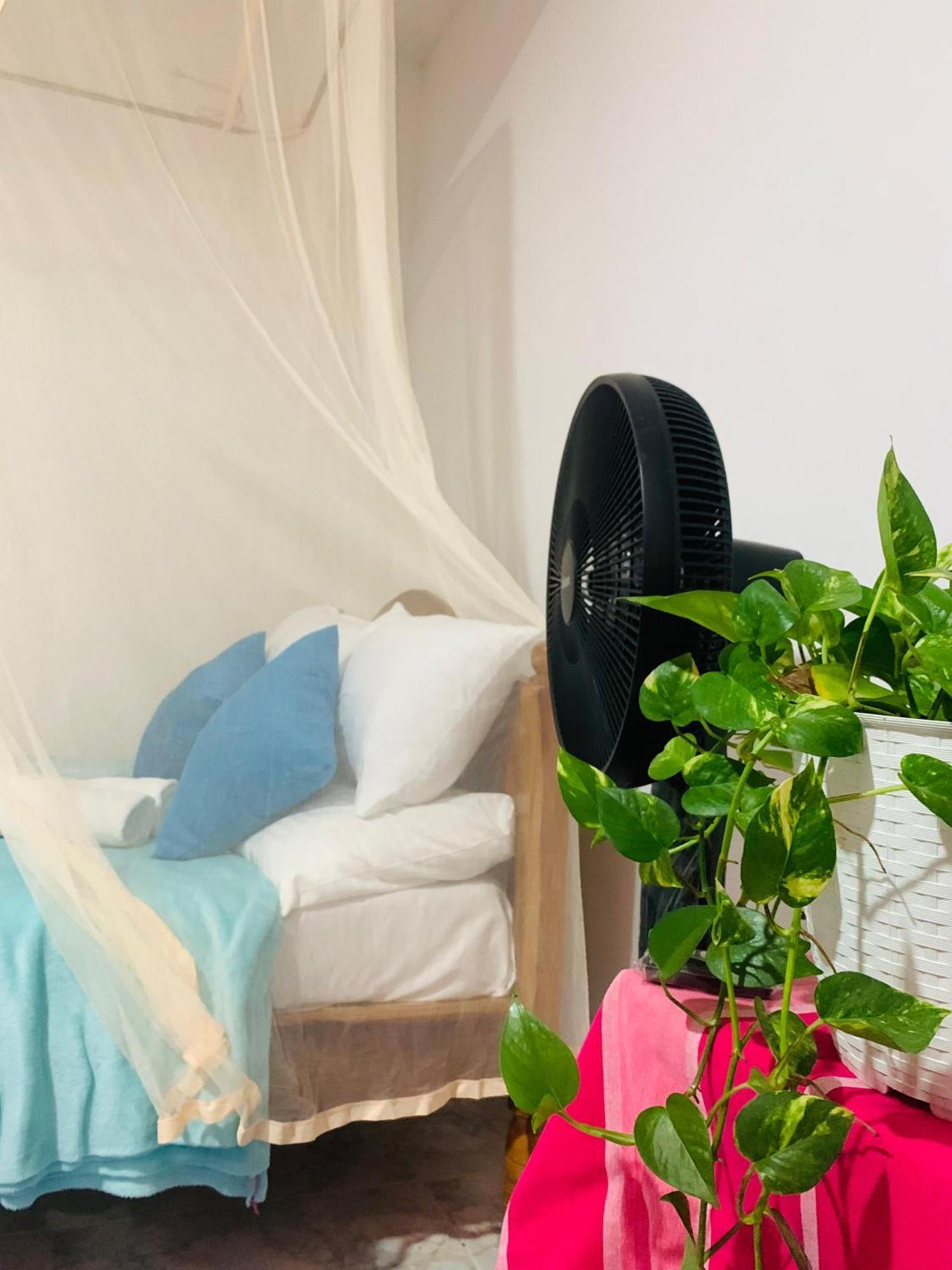 Meditation Monastery Stay إيلا المظهر الخارجي الصورة