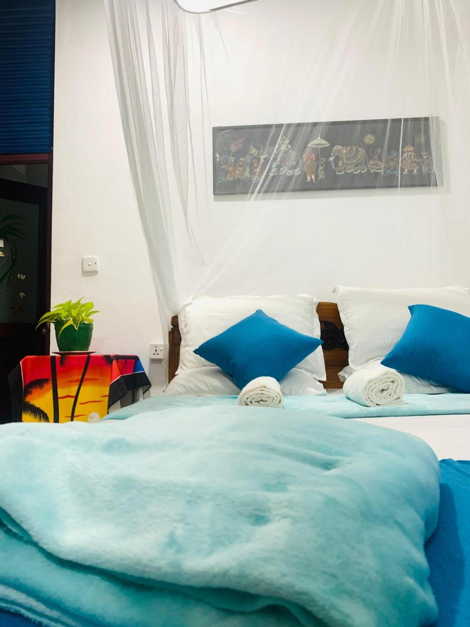 Meditation Monastery Stay إيلا المظهر الخارجي الصورة