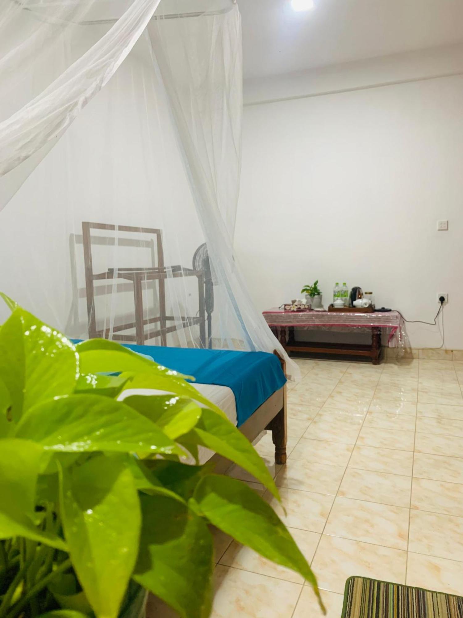 Meditation Monastery Stay إيلا المظهر الخارجي الصورة