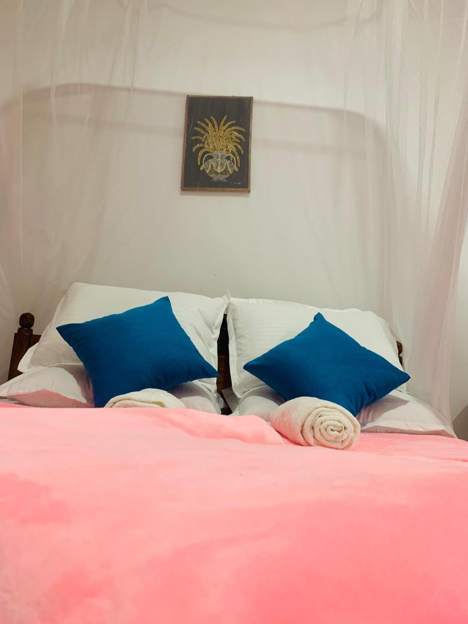 Meditation Monastery Stay إيلا المظهر الخارجي الصورة