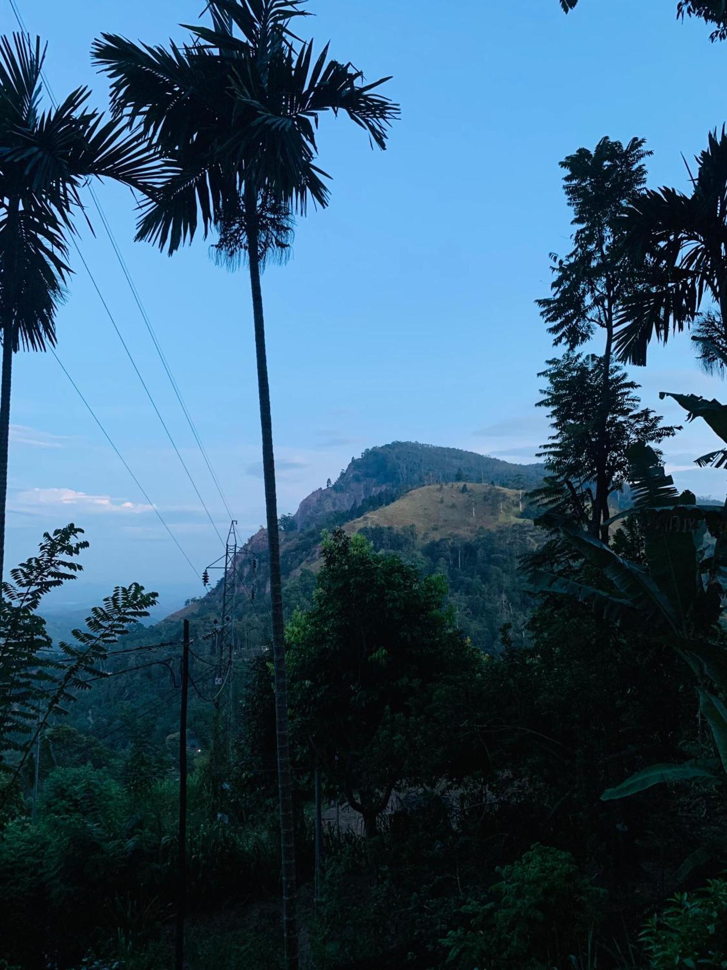 Meditation Monastery Stay إيلا المظهر الخارجي الصورة