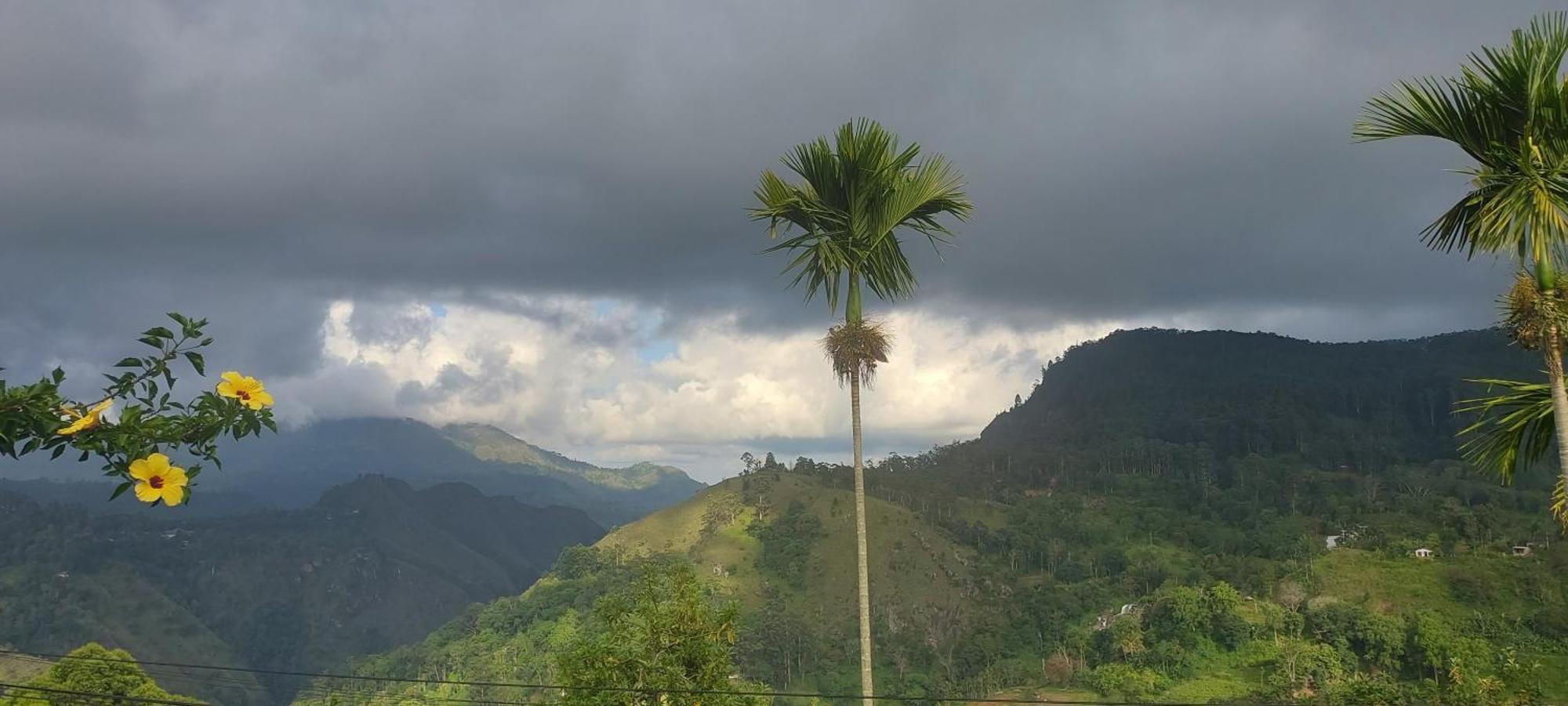 Meditation Monastery Stay إيلا المظهر الخارجي الصورة