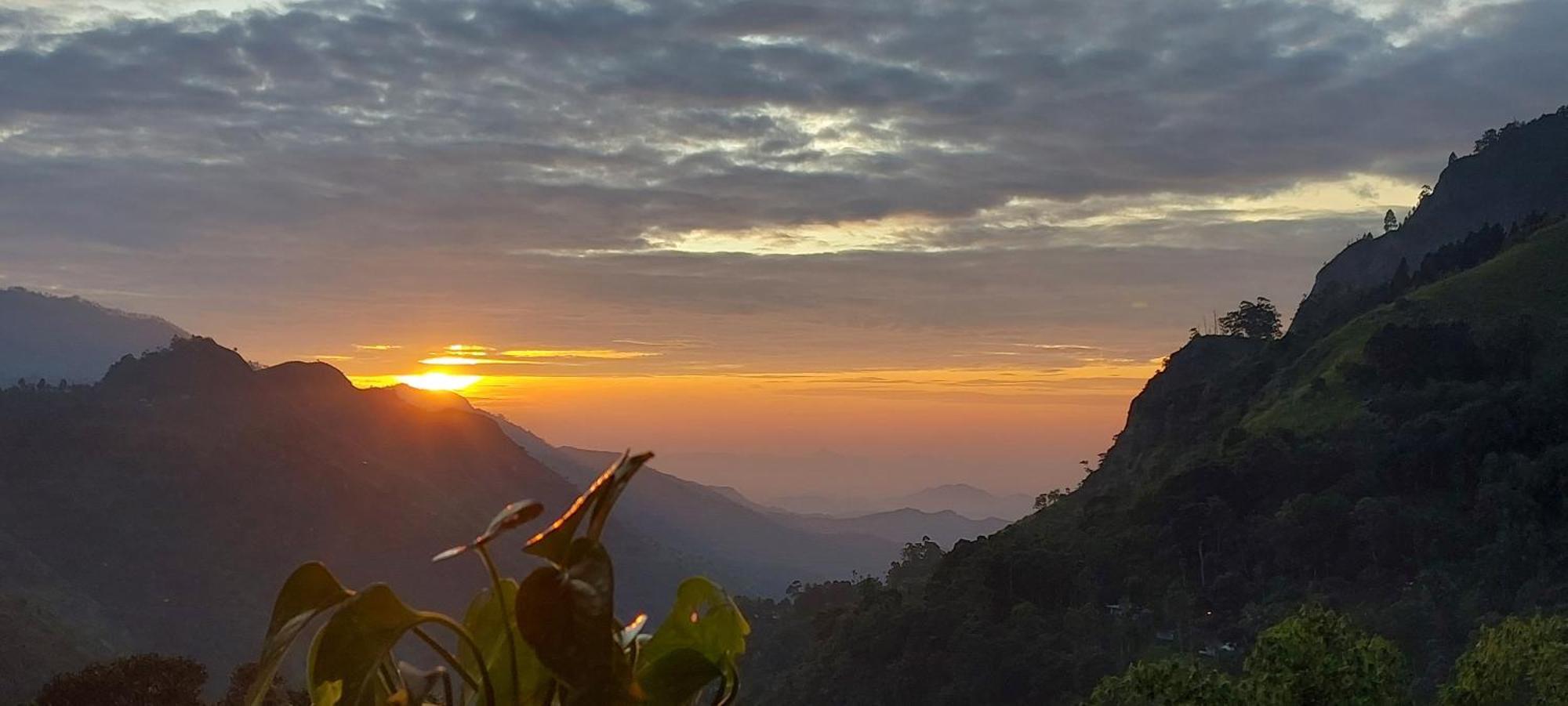 Meditation Monastery Stay إيلا المظهر الخارجي الصورة