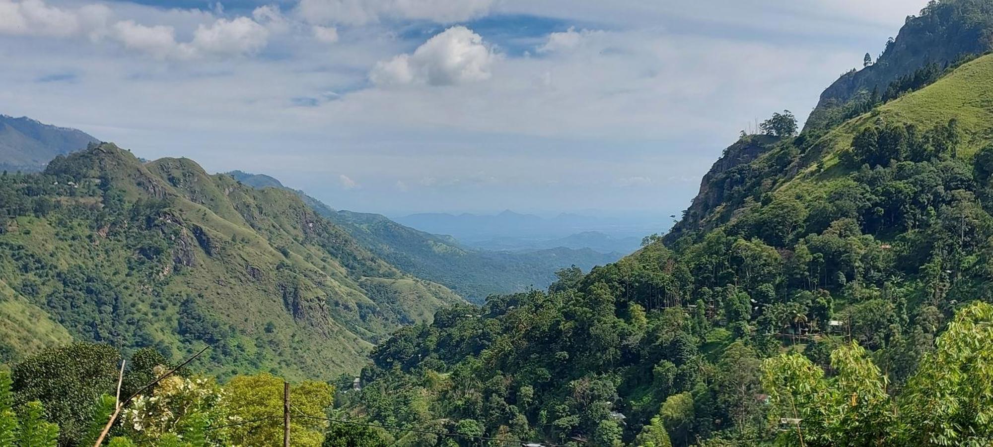 Meditation Monastery Stay إيلا المظهر الخارجي الصورة