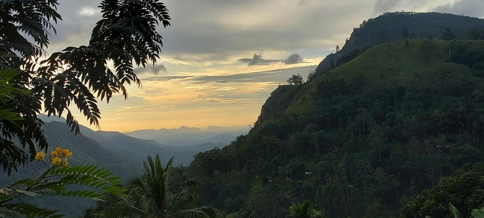 Meditation Monastery Stay إيلا المظهر الخارجي الصورة